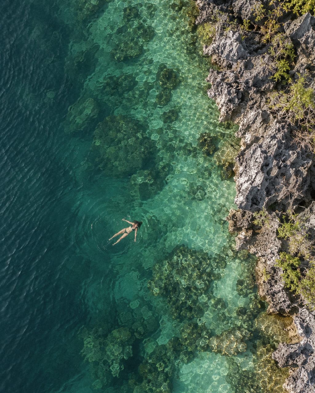 A swimmer floating in clear water beside the limestone wall of Twin Lagoon, seen from above